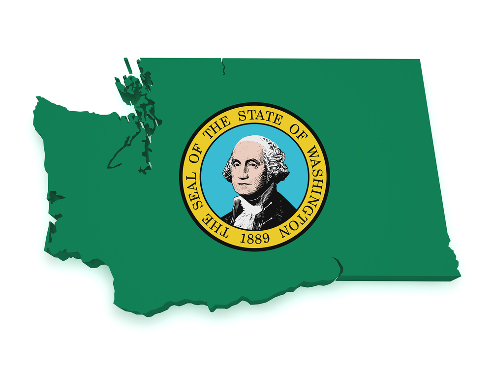 Washington Flag in State