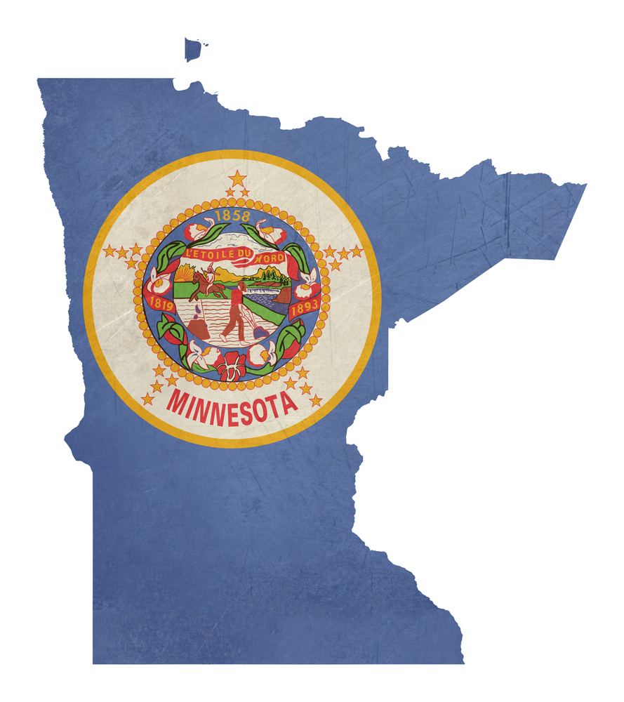 Minnesota Flag in State