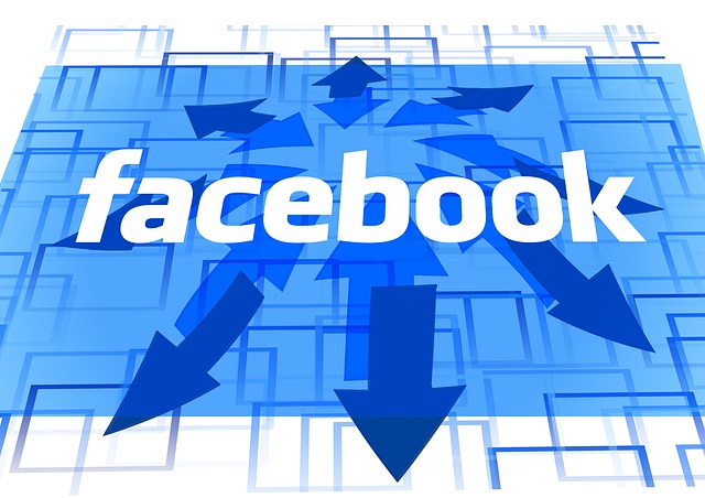 facebook growing 2016