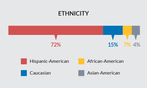 ECHM Visitors Ethnicity