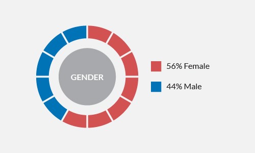 ECHM Visitors Gender